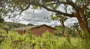 Wohnhaus und Landschaft im Dorf Chiguliro im Norden Malawis